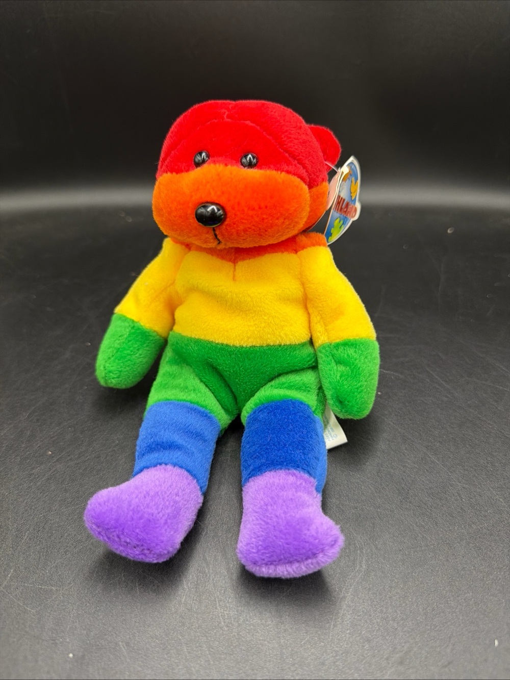 NWT Plushland Multi-Color Rainbow Bear 8"